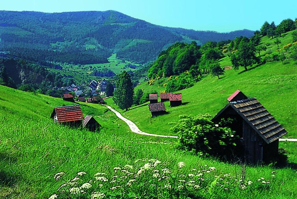 פרוידנשטאדט Hotel Schwanen מראה חיצוני תמונה